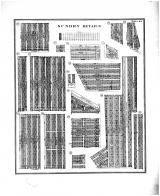Sundry Details - Plate 44, Wayne County 1905